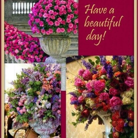 Meet your Posher, MA Banks - Picture 9 of 12